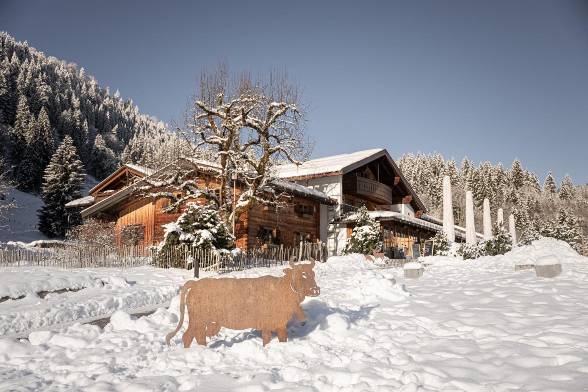Hotel Alpe Dornach Oberstdorf Exteriér fotografie